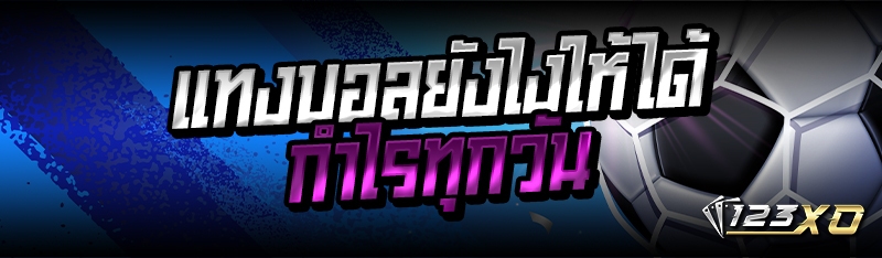 แทงบอลยังไง ให้ได้กำไรทุกวัน
